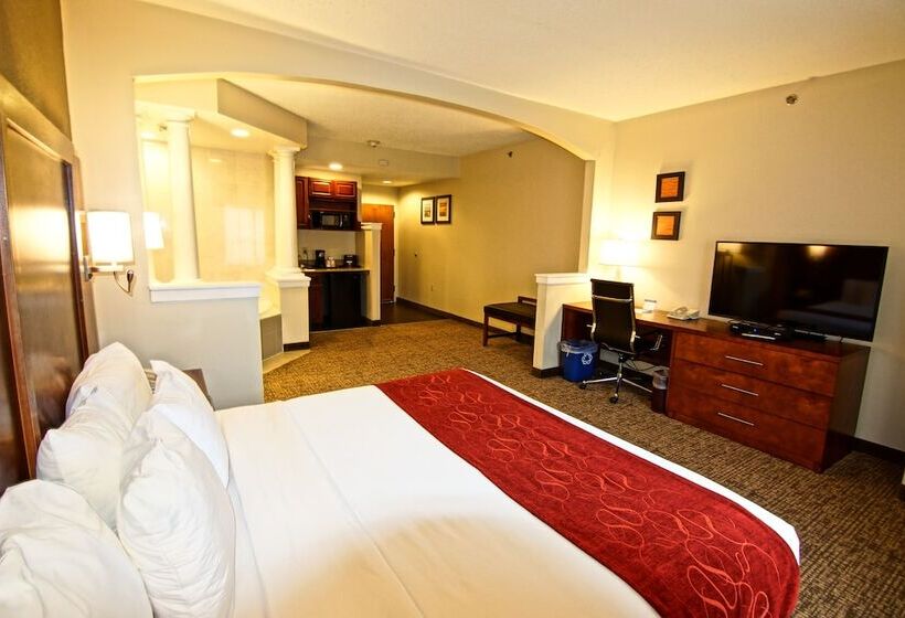 Люкс, Comfort Suites Near University