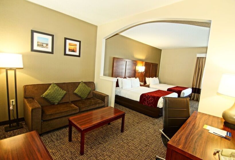 스위트, Comfort Suites Near University