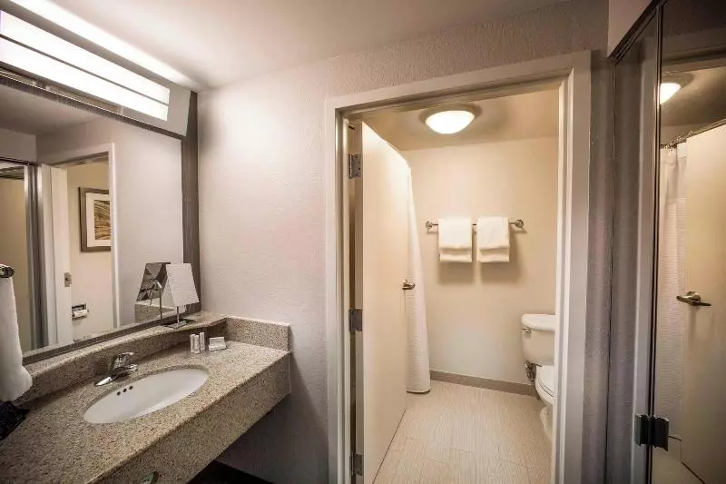 キングサイズベッドのスタンダードルーム, Courtyard By Marriott Norfolk Downtown