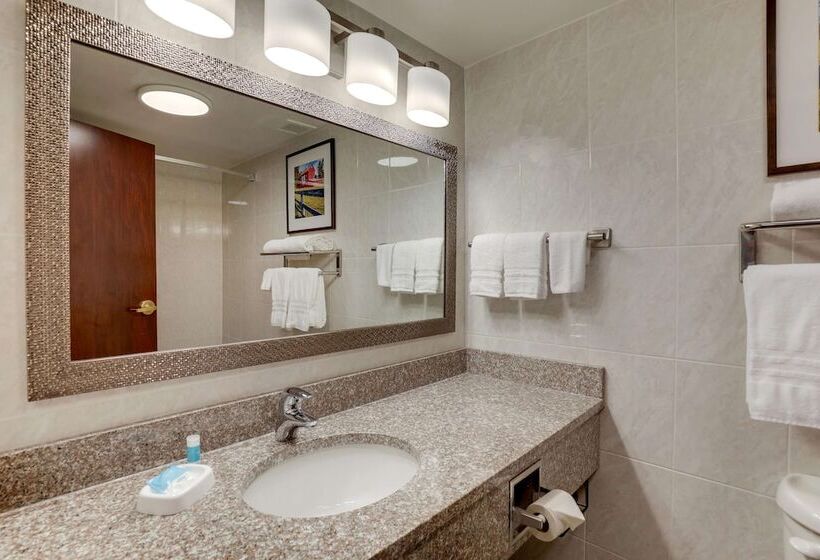 디럭스 룸, Drury Plaza Hotel Columbus Downtown