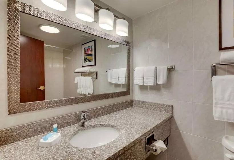 デラックスルーム, Drury Plaza Hotel Columbus Downtown