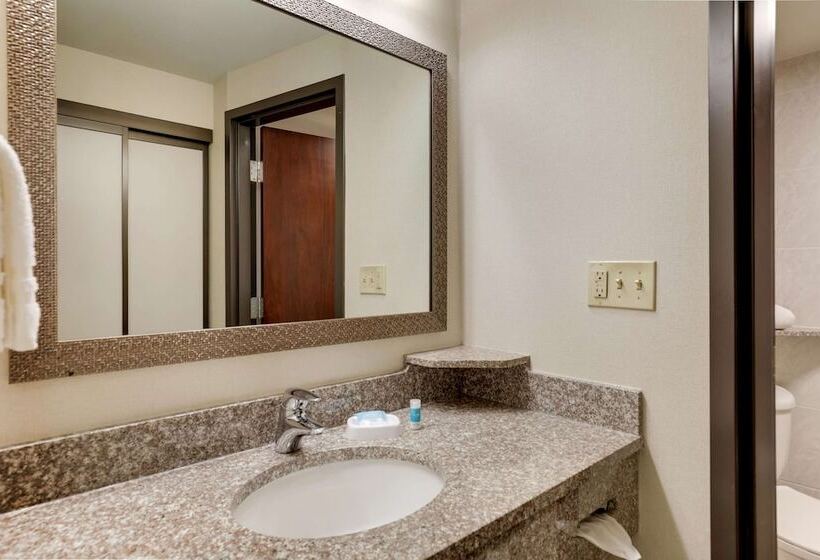 חדר דלוקס, Drury Plaza Hotel Columbus Downtown