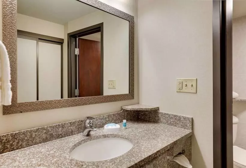 デラックスルーム, Drury Plaza Hotel Columbus Downtown