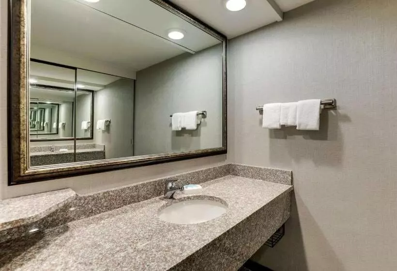 キングサイズベッドのスイートルーム, Drury Inn & Suites Columbus Dublin