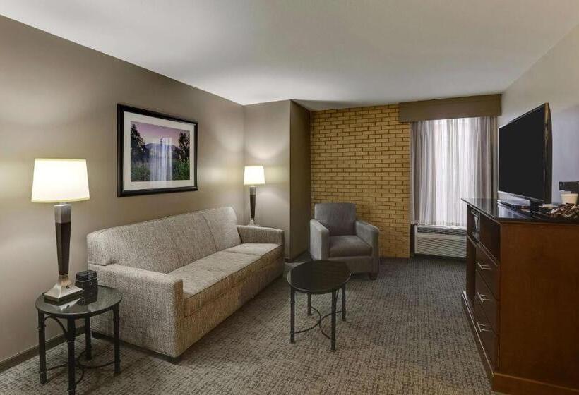 Люкс, Drury Inn & Suites Columbus Dublin