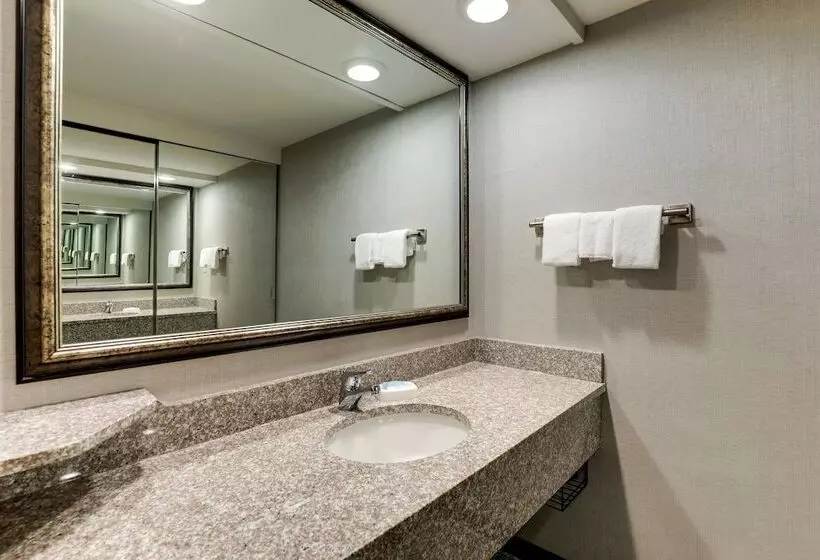 スイート, Drury Inn & Suites Columbus Dublin