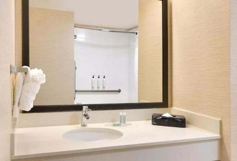 キングサイズベッドのスタンダードルーム, Fairfield Inn By Marriott Lexington Park Patuxent River Naval Air Station