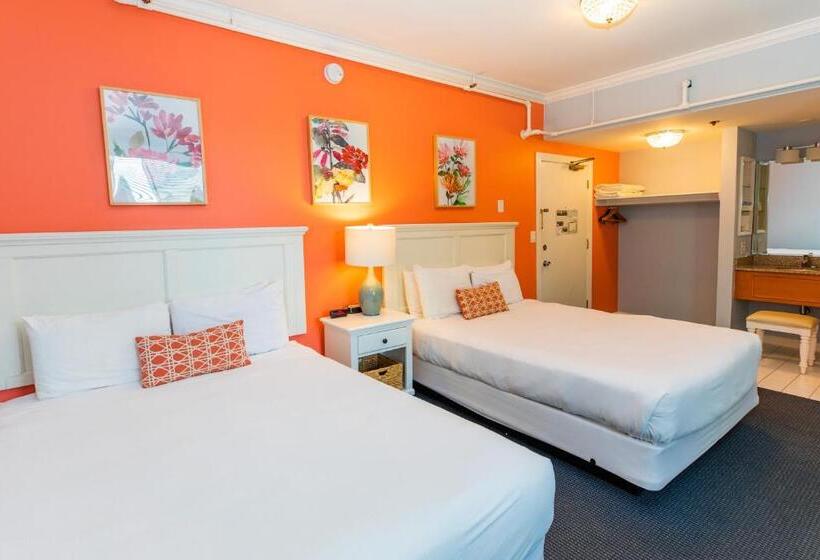 豪华房间, Island House