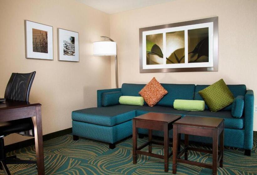 带大床的套房, Springhill Suites By Marriott Medford