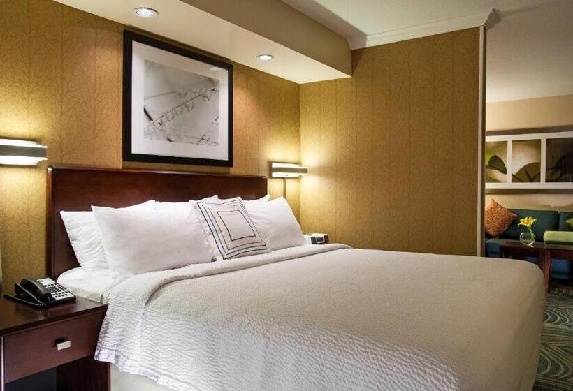 带大床的套房, Springhill Suites By Marriott Medford