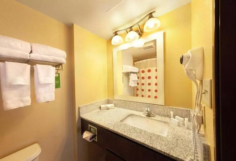 キングサイドベッドのスタンダードワンルーム, Towneplace Suites Wilmington Newark/christiana