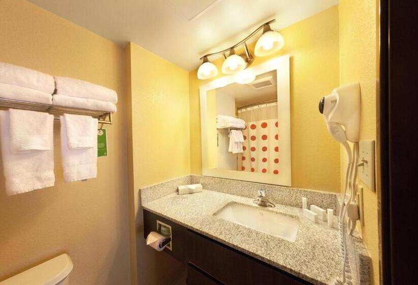 Студия Стандарт, Towneplace Suites Wilmington Newark/christiana