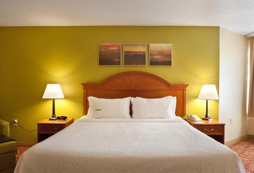 سوئیت با تخت بزرگ, Towneplace Suites Wilmington Newark/christiana