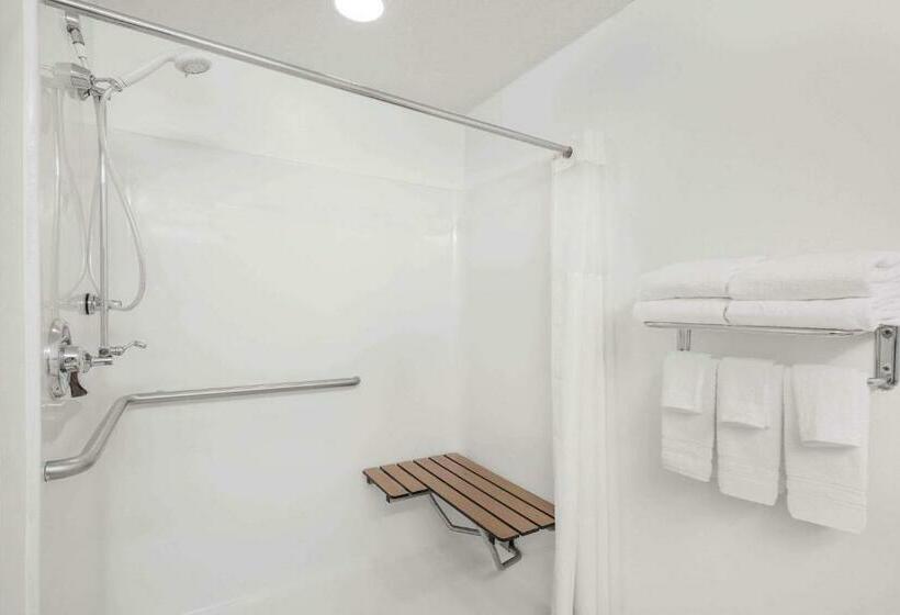 Номер Стандарт Адаптированный для Инвалидов, Microtel Inn & Suites By Wyndham Hamburg