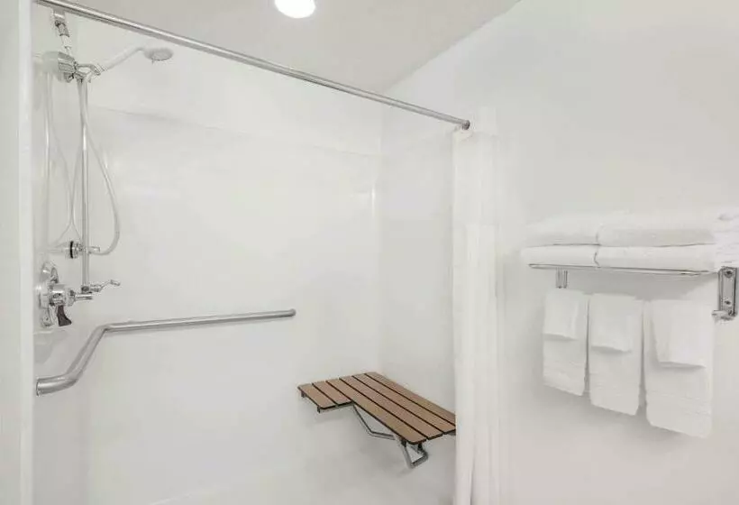 身障者適用スタンダードルーム, Microtel Inn & Suites By Wyndham Hamburg