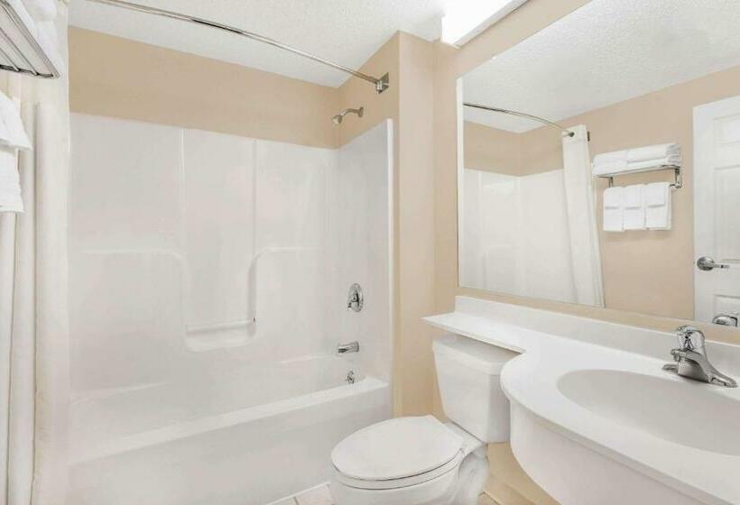 Люкс, Microtel Inn & Suites By Wyndham Hamburg