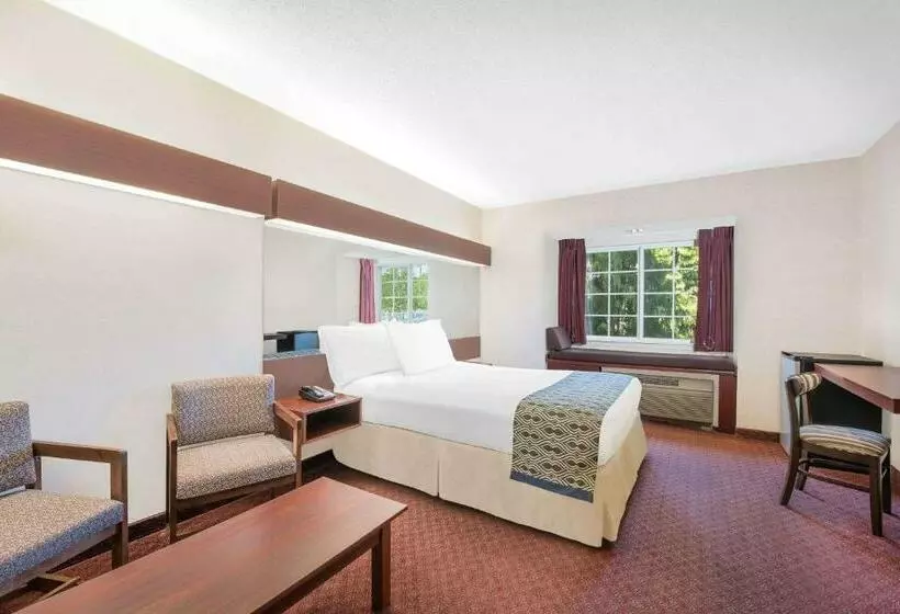 身障者適用スタンダードルーム, Microtel Inn & Suites By Wyndham Hamburg