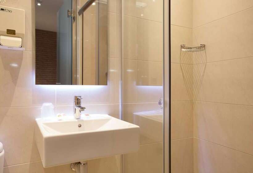 اتاق استاندارد یک نفره, Hostal Fernando