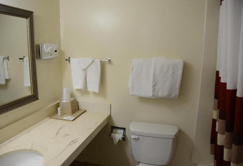 חדר סטנדרט שתי מיטות זוגיות, Big Spring Inn Madisonville