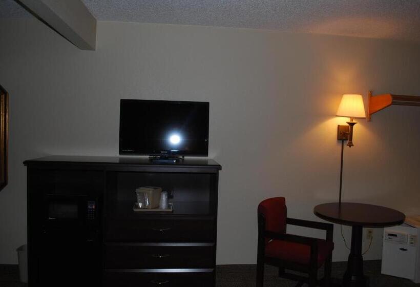 带大床的豪华间, Clinton Inn & Suites