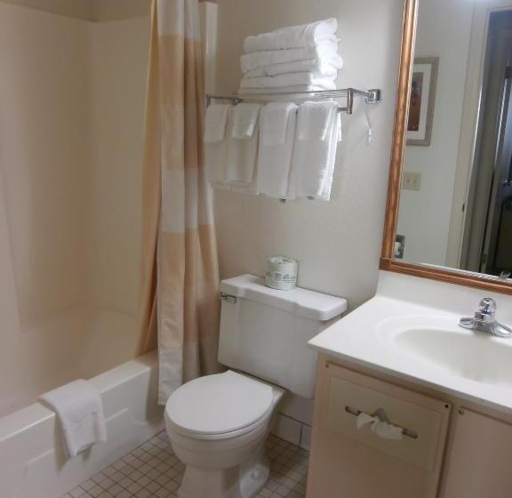 带大床的豪华间, Clinton Inn & Suites