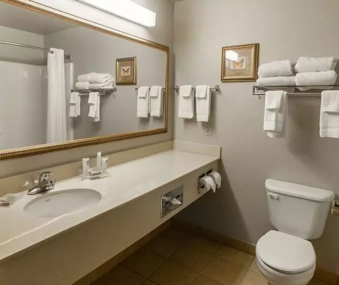 スイート, Country Inn & Suites By Radisson, El Dorado, Ar