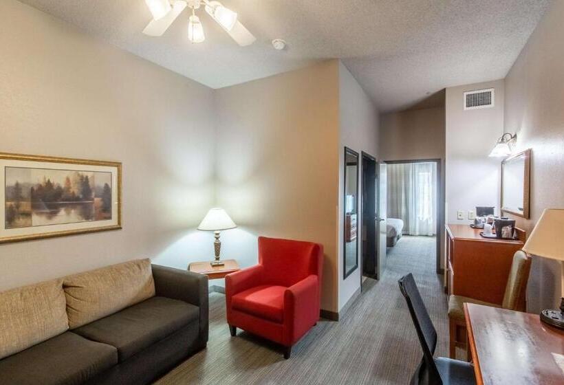 سوئیت با تخت بزرگ, Country Inn & Suites By Radisson, El Dorado, Ar