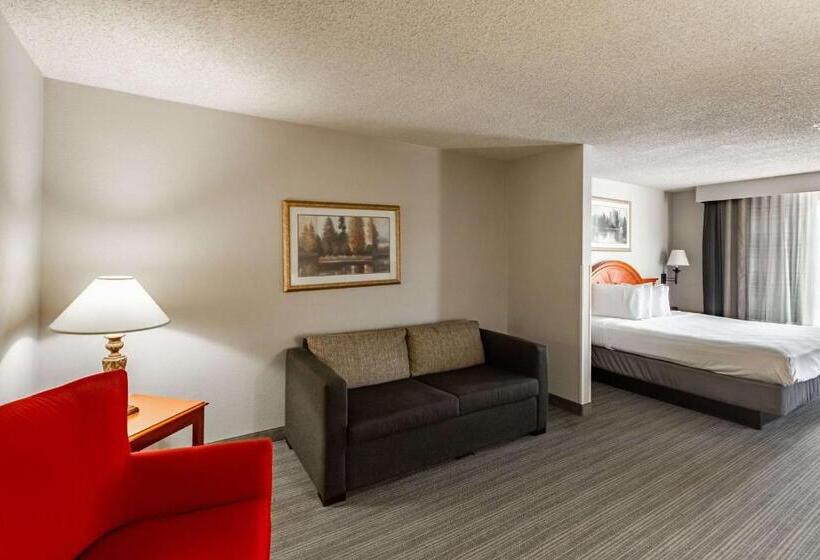 Deluxe Suite King Bed, Country Inn & Suites By Radisson, El Dorado, Ar