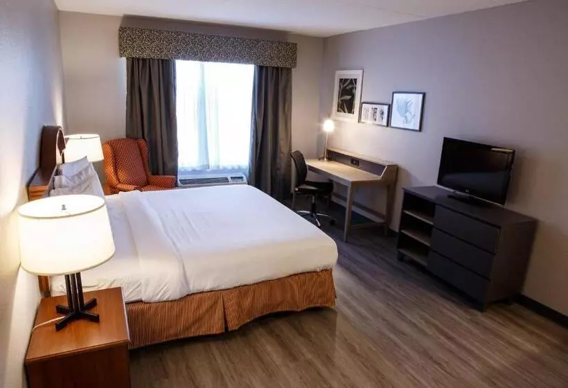 キングサイズベッドのスタンダードルーム, Country Inn & Suites By Radisson, Harrisburg West Mechanicsburg