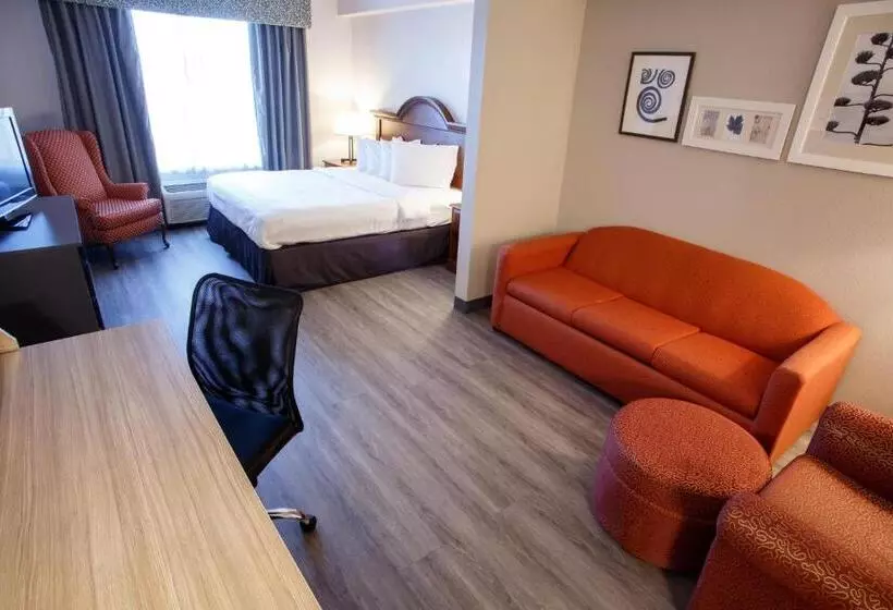 キングサイズベッドのスイートルーム, Country Inn & Suites By Radisson, Harrisburg West Mechanicsburg