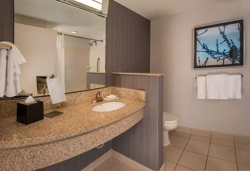スイート, Courtyard By Marriott Gaithersburg Washingtonian Center