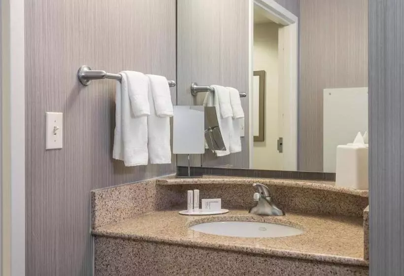スタンダードルーム, Courtyard By Marriott Newark University Of Delaware