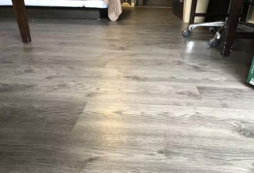 ２ダブルベッドのスタンダードルーム, Deerfield Inn And Suites  Fairview