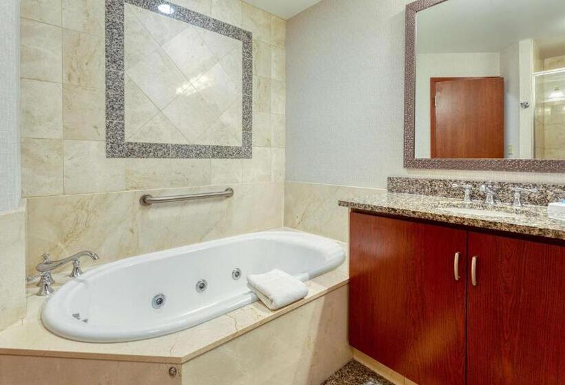 스위트 킹사이즈 침대, Drury Plaza Hotel St. Louis Chesterfield