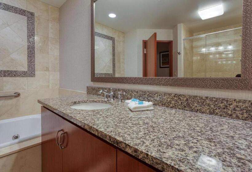 جناح سرير كينج, Drury Plaza Hotel St. Louis Chesterfield