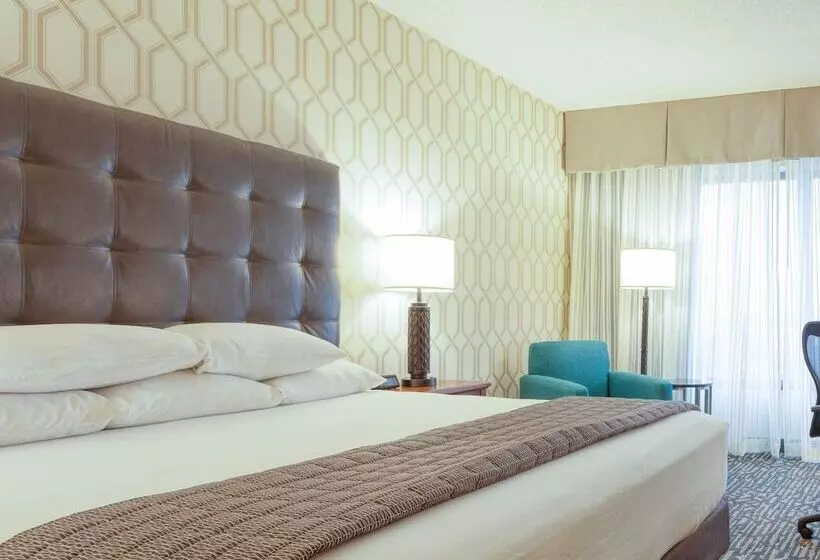 障害者適応デラックスルーム, Drury Plaza Hotel St. Louis Chesterfield