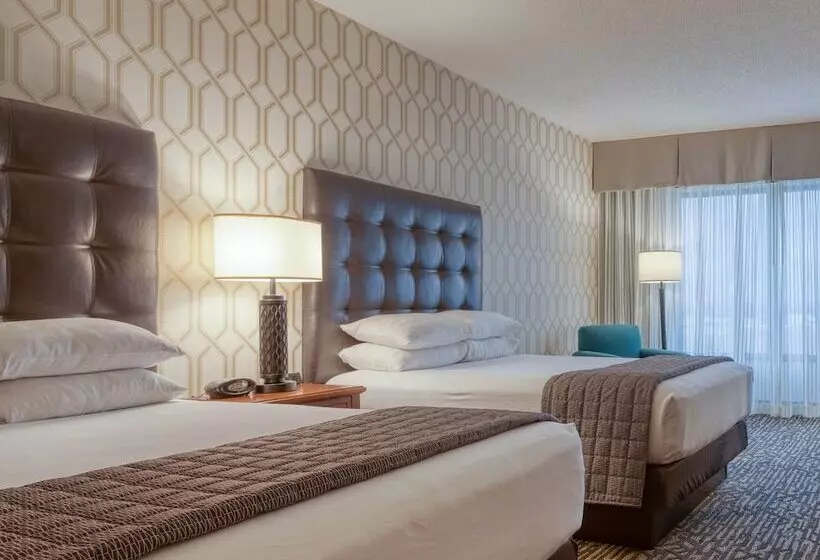 デラックスルーム, Drury Plaza Hotel St. Louis Chesterfield