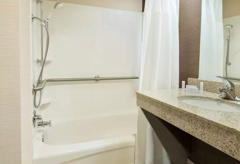スイート, Fairfield Inn & Suites By Marriott Springdale