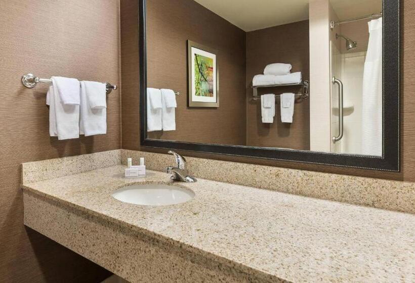 스탠다드 룸 킹사이즈 침대, Fairfield Inn & Suites By Marriott Springdale