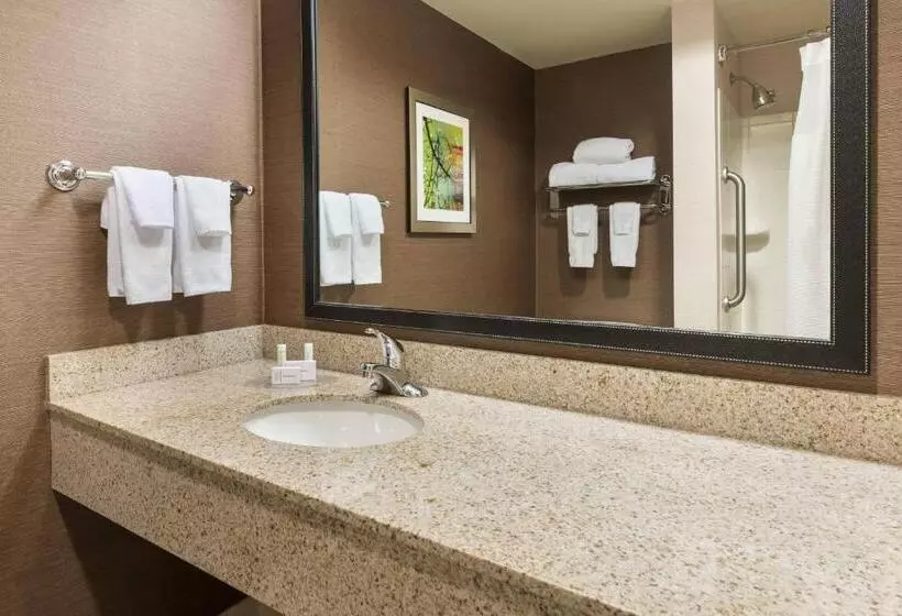 キングサイズベッドのスタンダードルーム, Fairfield Inn & Suites By Marriott Springdale