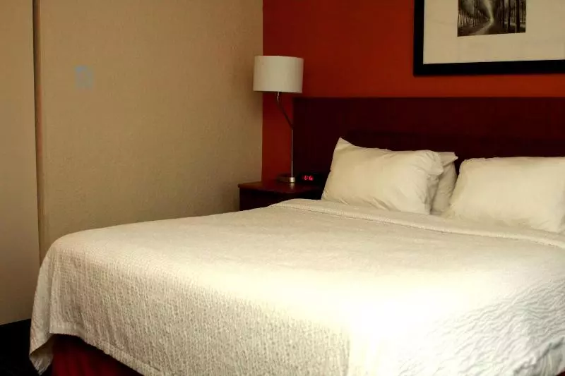 キングサイズベッドのスタンダードルーム, Fairfield Inn & Suites By Marriott Fairmont