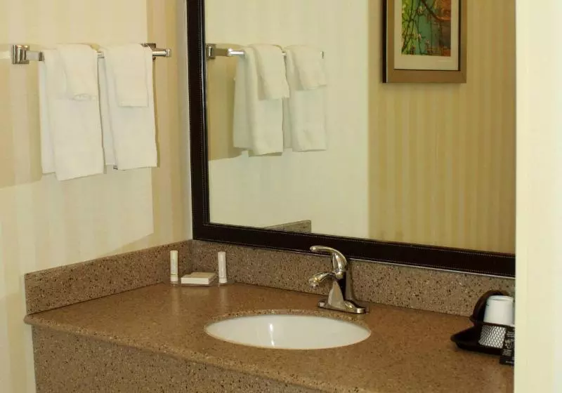 キングサイズベッドのスタンダードルーム, Fairfield Inn & Suites By Marriott Fairmont