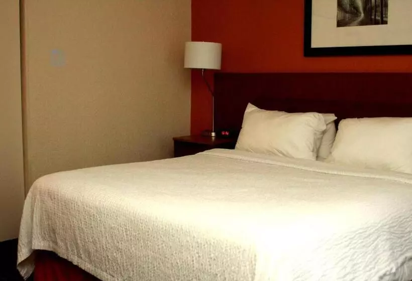 キングサイズベッドのスイートルーム, Fairfield Inn & Suites By Marriott Fairmont
