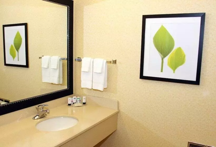 اتاق استاندارد با 2 تخت دوبل, Fairfield Inn And Suites By Marriott Marion