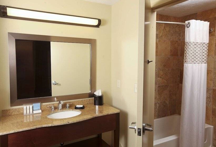 带双人床的标准工作室, Hampton Inn & Suites By Hilton Fargo Medical Center