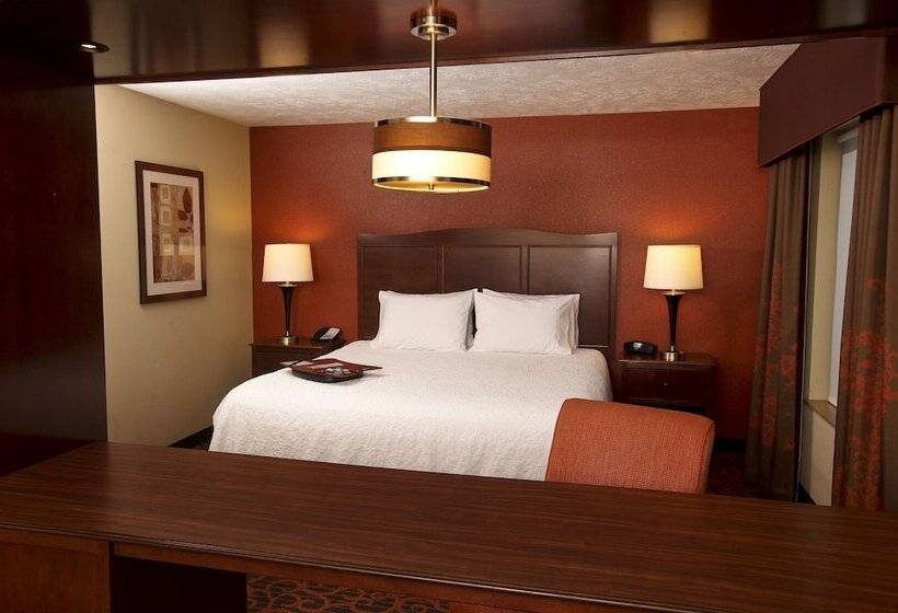 带双人床的标准工作室, Hampton Inn & Suites By Hilton Fargo Medical Center