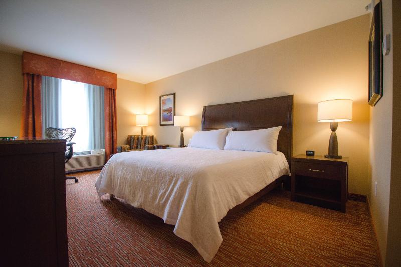 Стандартный Номер Кровать Кинг, Hilton Garden Inn Watertown/thousand Islands