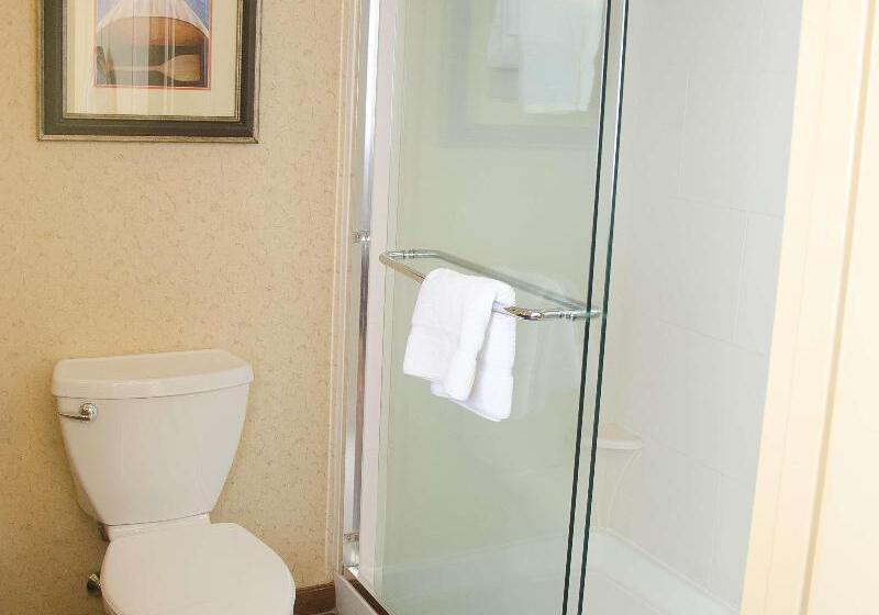 غرفة قياسية سرير كينج, Hilton Garden Inn Watertown/thousand Islands