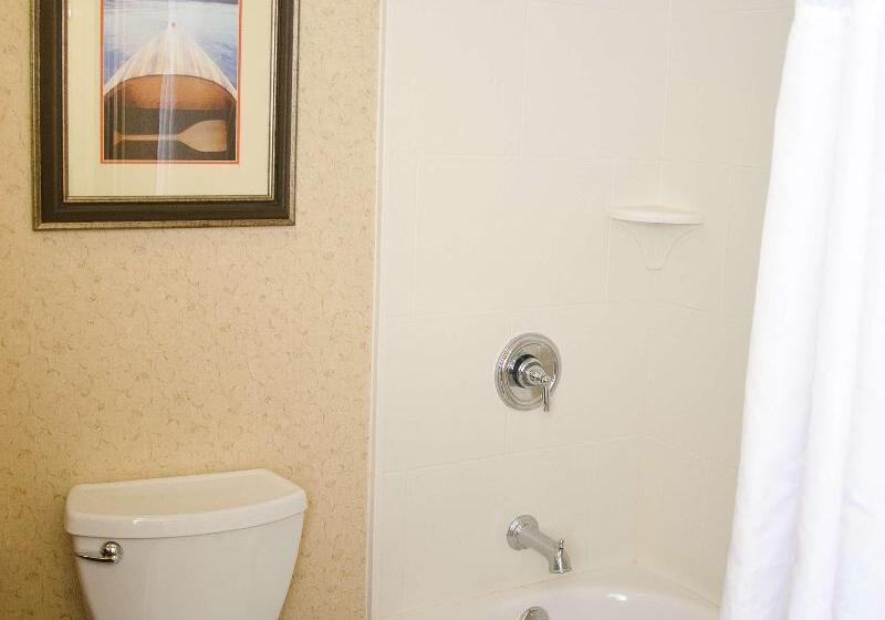 غرفة بريميوم, Hilton Garden Inn Watertown/thousand Islands