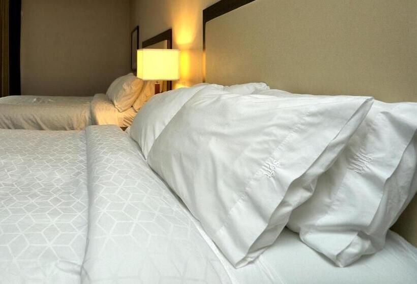 身障者適用スタンダードルーム, Holiday Inn Express And Suites Batavia, An Ihg